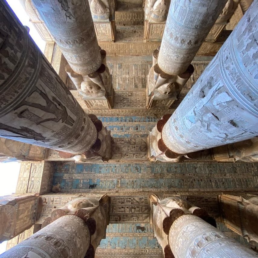 136325496_446820756448147_6987204339978182860_n-855x855