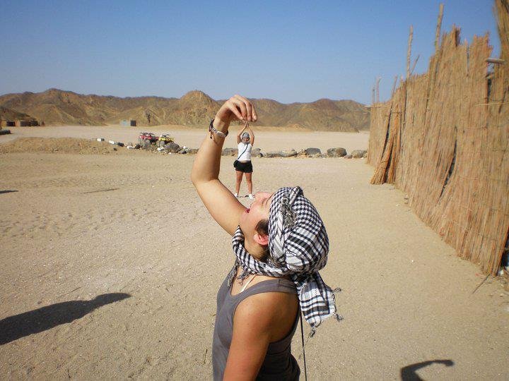 539069_267181776721029_43787649_n