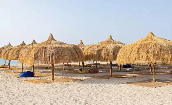 Generated20image-2-e1755814907599-700x430