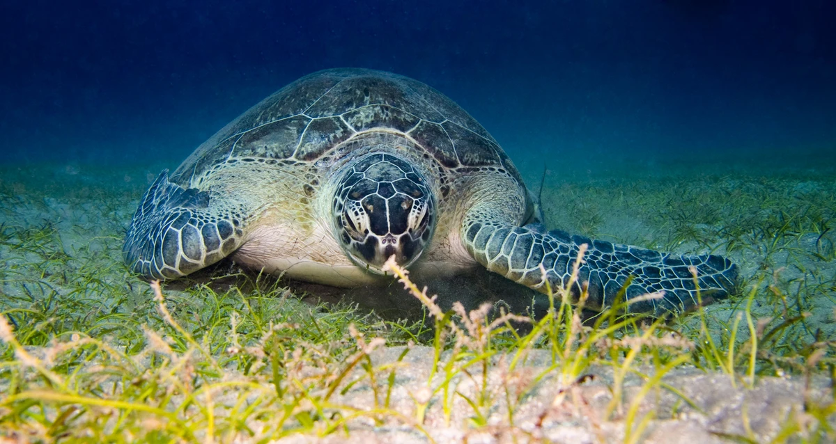 ad49feff-f2bf-49f0-9703-3b960ab113f9