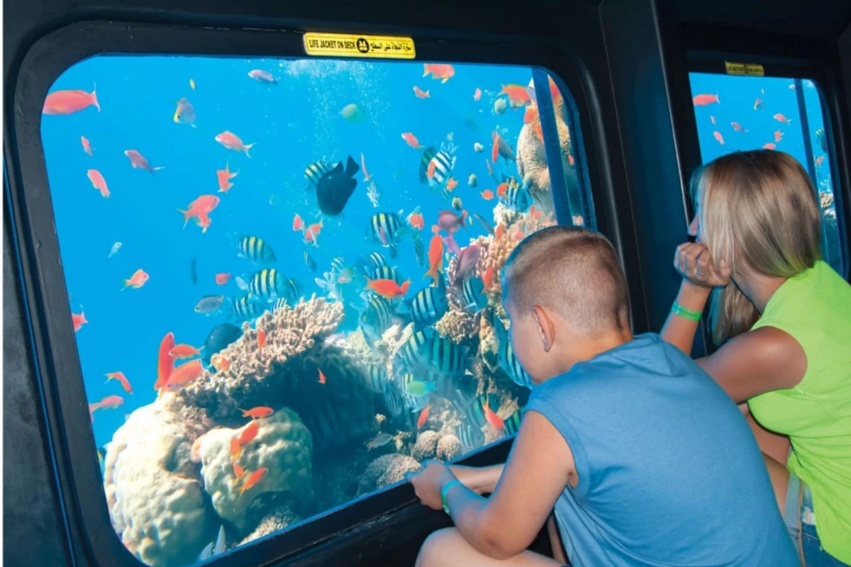 batiskaf-snorkling-1-cropsize-1200x800