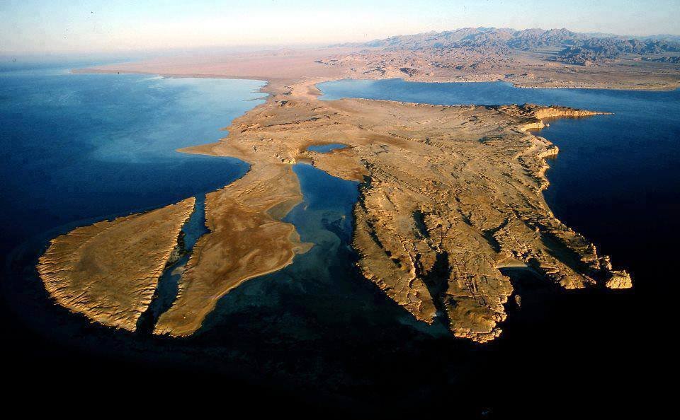 RasMohamed