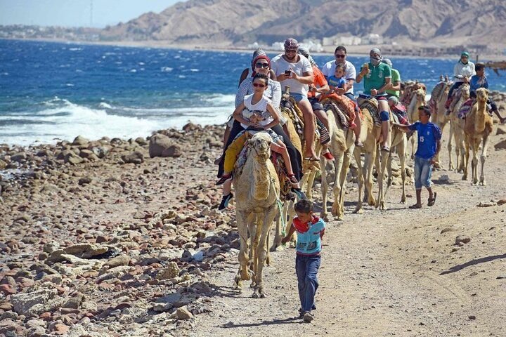 from-sharm-el-sheikh-colored-salama-canyon-snorkeling-at-dahab-895524