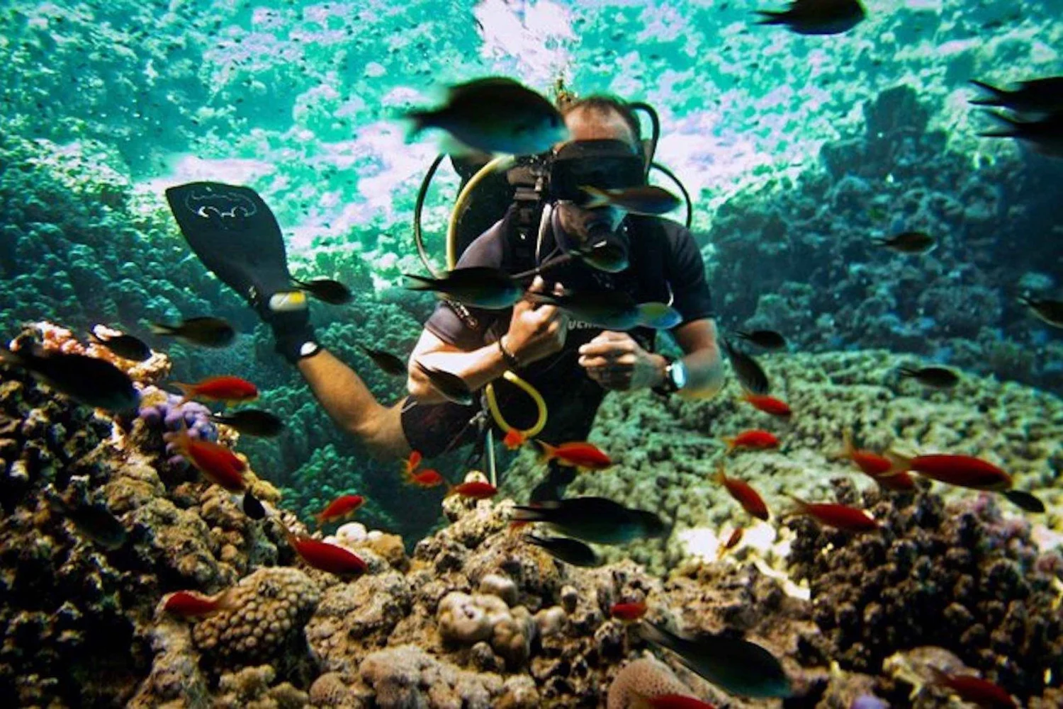 ras-muhammad-national-park-diving-boat-trip-from-sharm-975703
