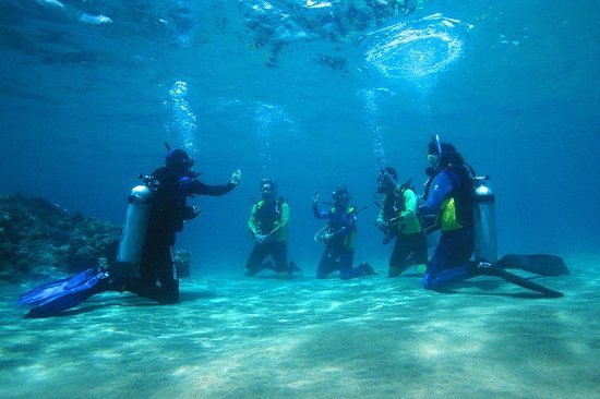 sinai-divers-diving-center