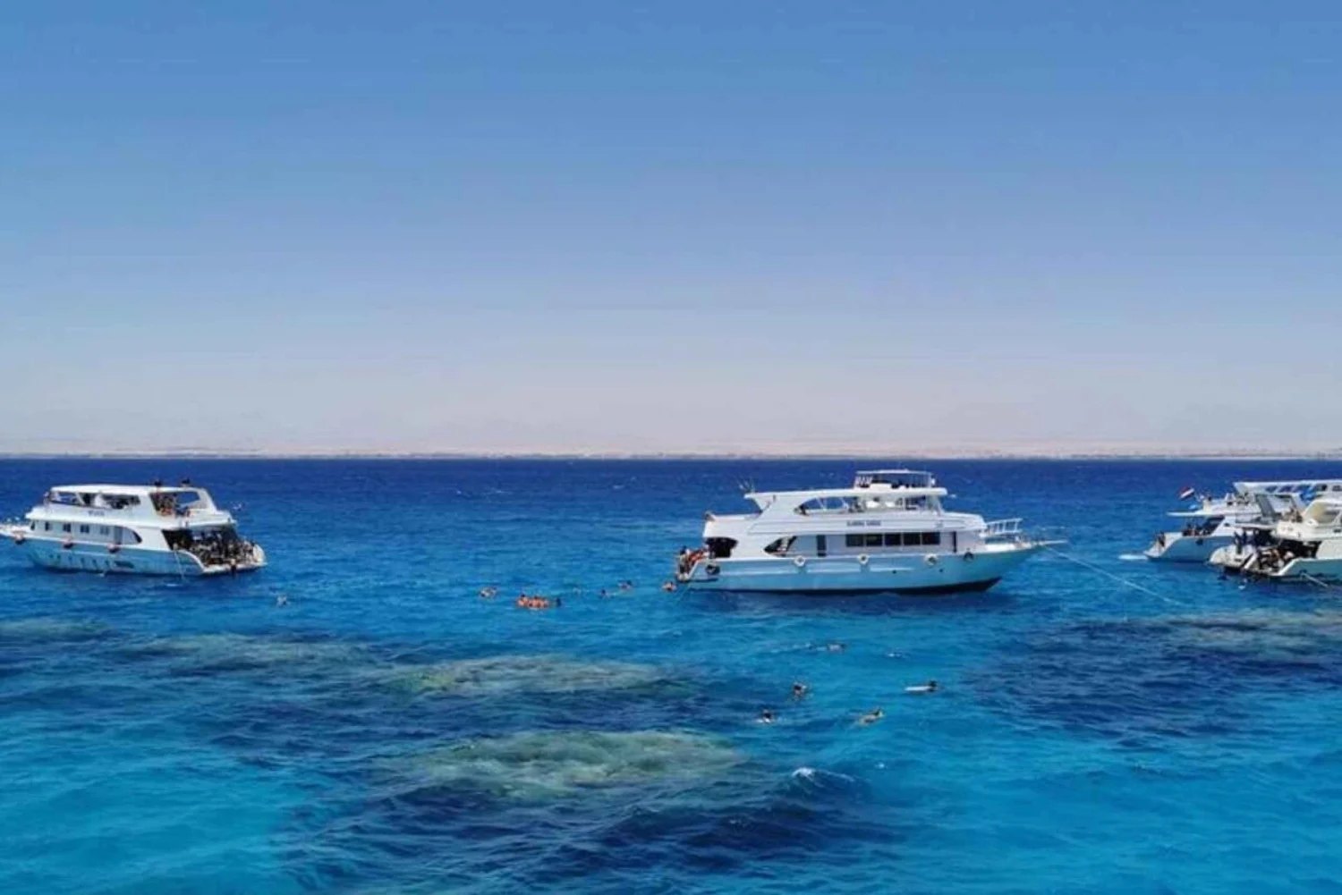 white-island-rasmohamed-national-park-snorkeling-boat-trip-1339995